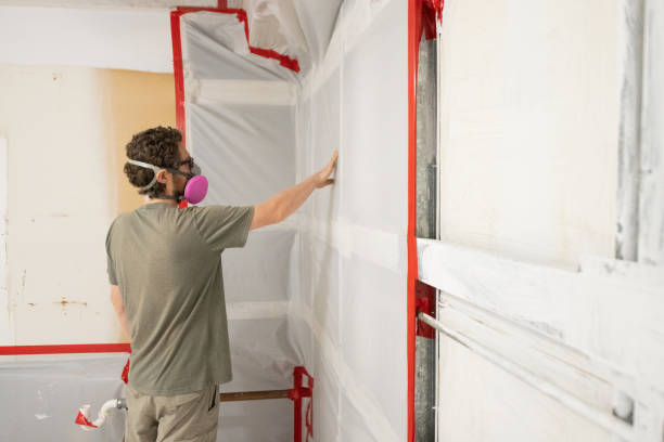 Best HVAC Mold Inspection and Cleaning  in Panama City Beach, FL