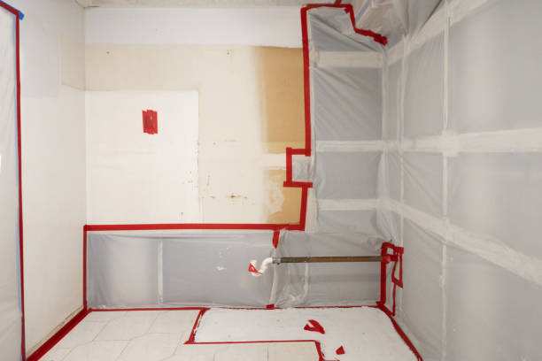 Best Water Damage & Mold Remediation  in Panama City Beach, FL