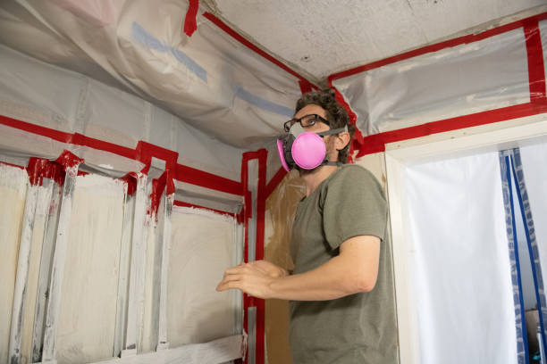 Mold Remediation for Rental Properties in Panama City Beach, FL