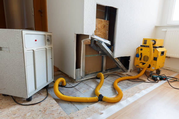 Best Emergency Mold Remediation  in Panama City Beach, FL