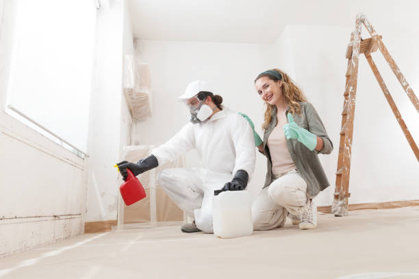 Best Mold Prevention Services  in Panama City Beach, FL