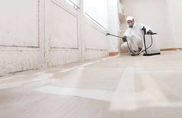 Mold Removal for HVAC Installations in Panama City Beach, FL